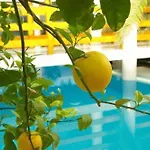 Wellness Kakadu Keszthely