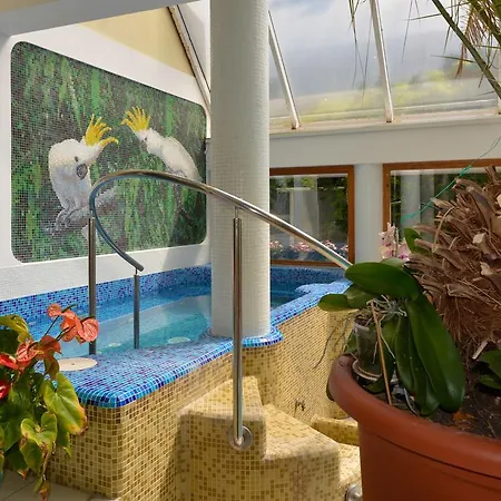 Отель Wellness Kakadu Кестхей